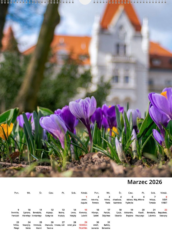 Kalendarz Mogilno w obiektywie 2026 układ pionowy