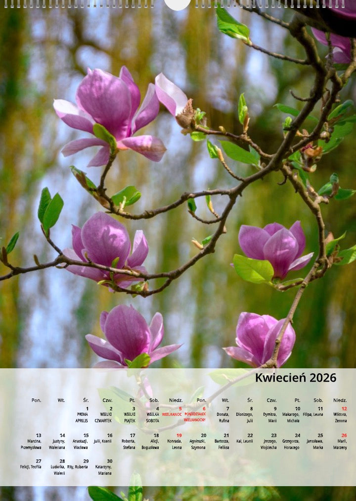 Kalendarz Mogilno w obiektywie 2026 układ pionowy